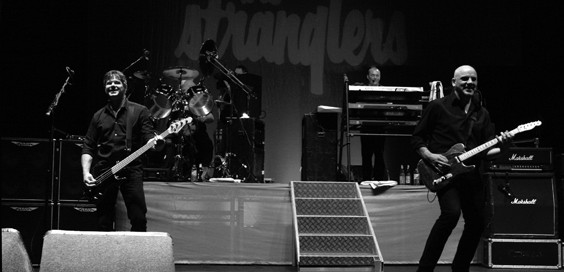 The Stranglers Live